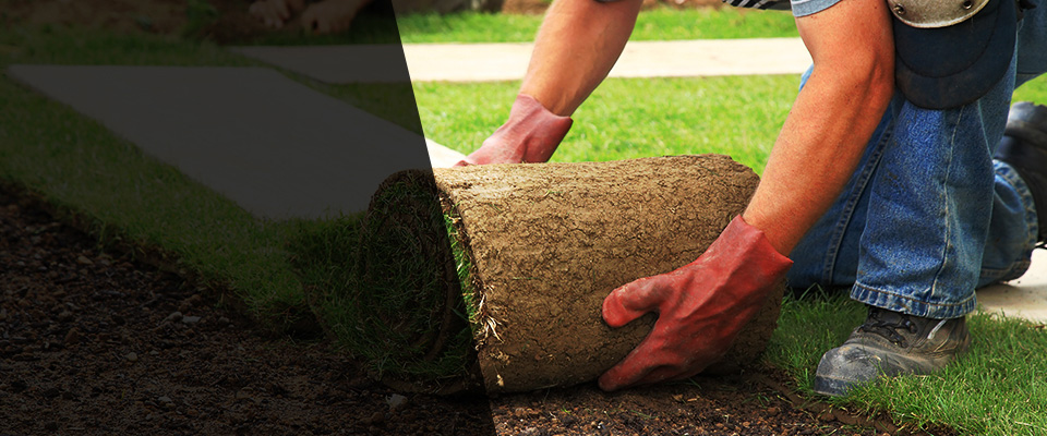 Brunswick Landscapers